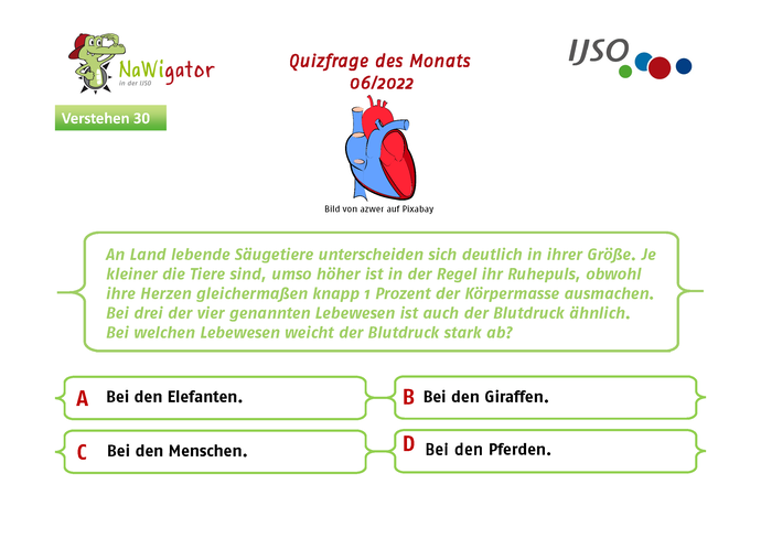 Nawigator-Quiz Frage des Monats - Juni 2022