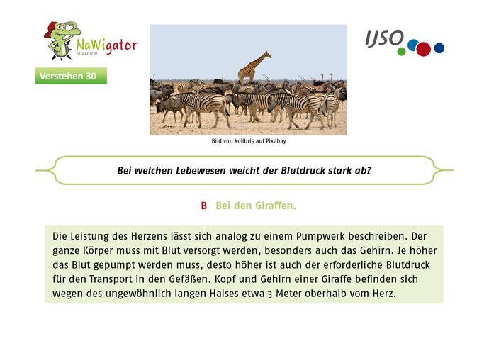 NaWigator-Quiz Antwort des Monats  - Juni 2022