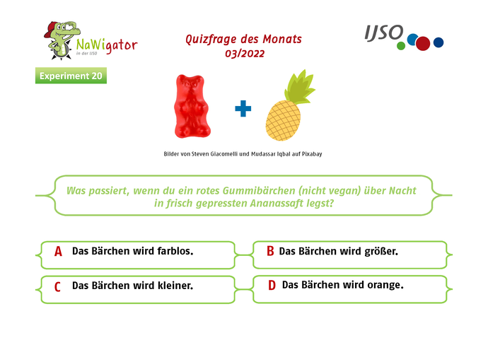 Nawigator-Quiz Frage des Monats - März 2022