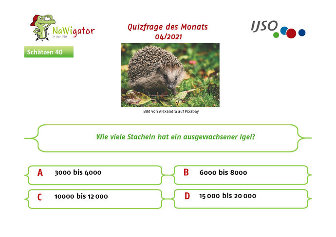 Nawigator-Quiz Frage des Monats - Juli 2021