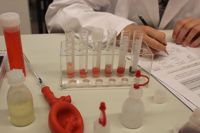 Im Labor - Experimentelle Klausur