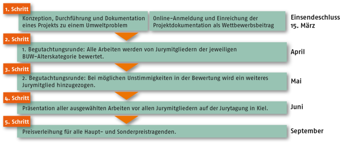 Wettbewerbsablauf