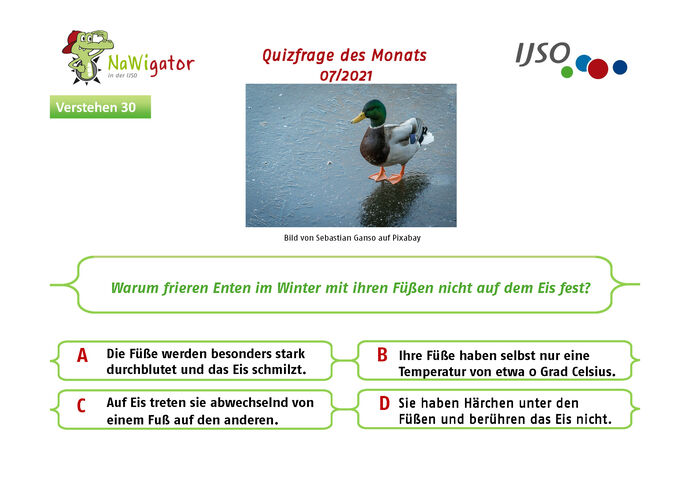 Nawigator-Quiz Frage des Monats - Oktober 2021