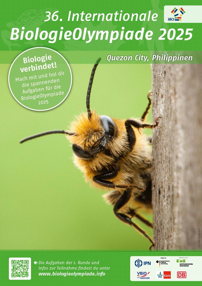 Offizielles Poster der 36. Internationalen BiologieOylmpiade 2025