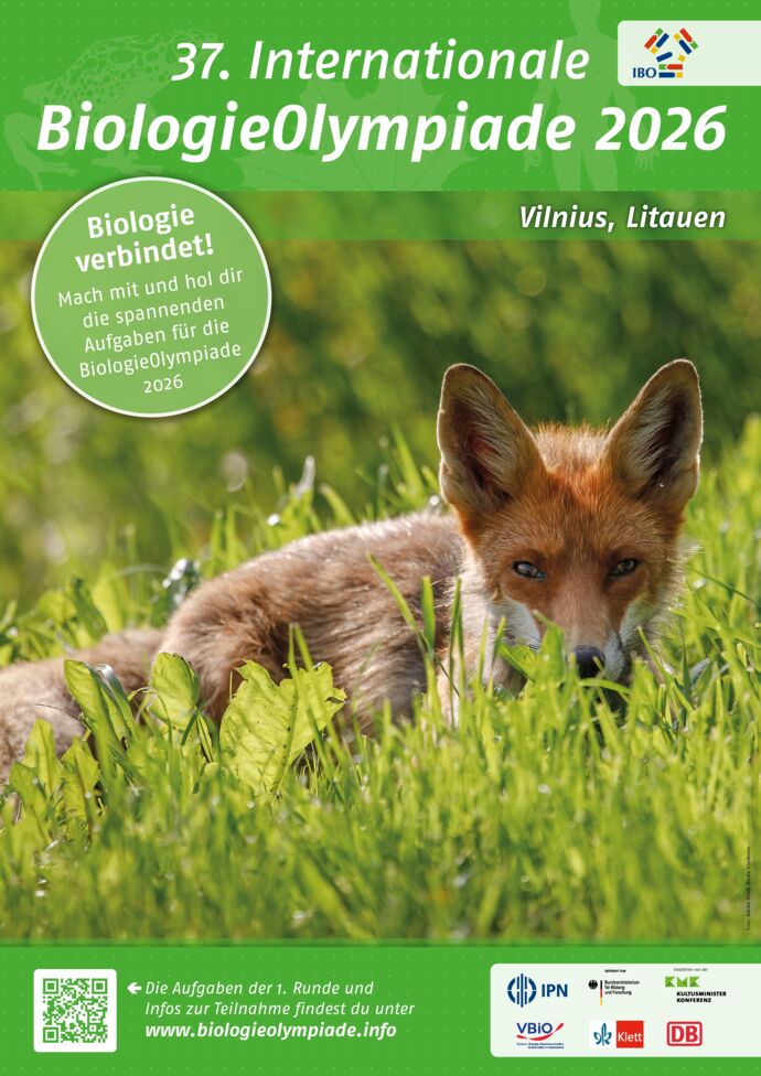 Die Anmeldung zur ersten Runde der IBO 2026 läuft IBO - IPN Die Anmeldung zur ersten Runde der IBO 2026 läuft