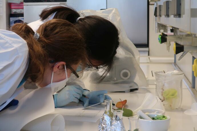 Beim Labortraining