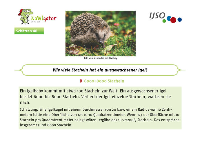 NaWigator-Quiz Antwort des Monats  - Juli 2021