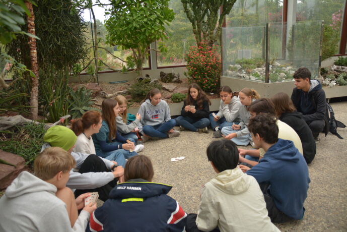 Teilnehmende beim Kartenspiel in den Herrenhäuser Gärten