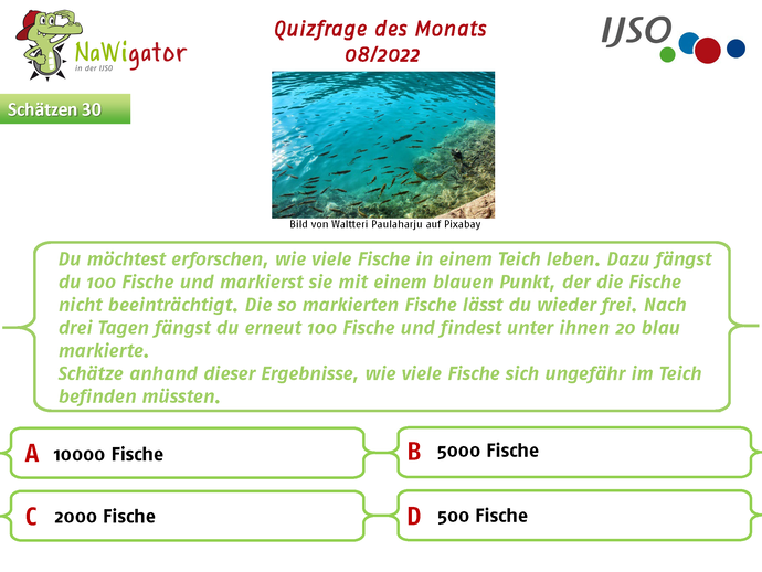 Nawigator-Quiz Frage des Monats - August 2022