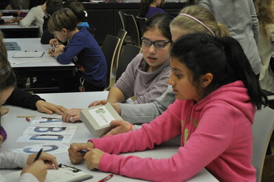 Welchen Weg nimmt die Murmel im Labyrinth? IJSO - IPN