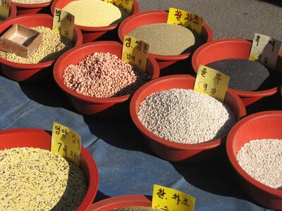 Ausflugstag IJSO - IPN